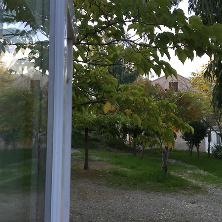 San-Martino-di-Lota Camping Les Orangers חדר תמונה