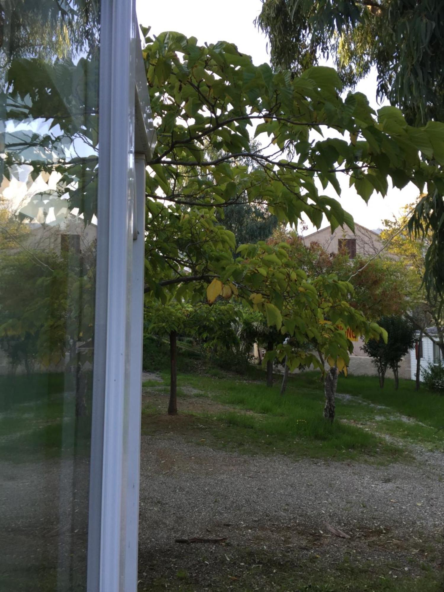 San-Martino-di-Lota Camping Les Orangers חדר תמונה
