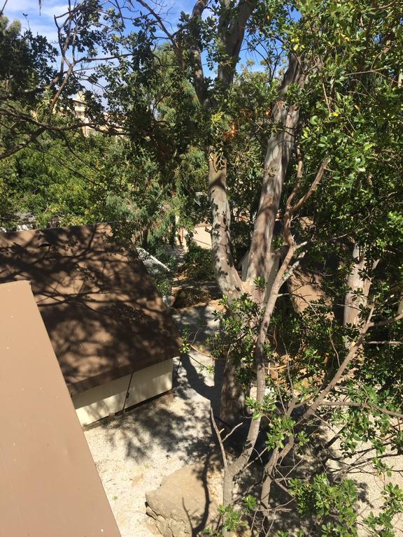 San-Martino-di-Lota Camping Les Orangers מראה חיצוני תמונה