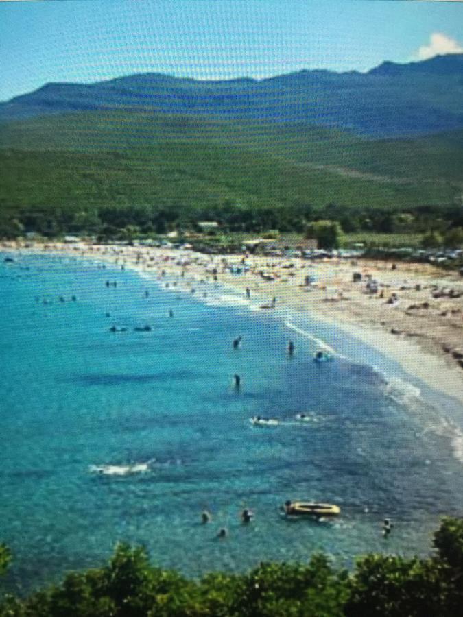 San-Martino-di-Lota Camping Les Orangers מראה חיצוני תמונה